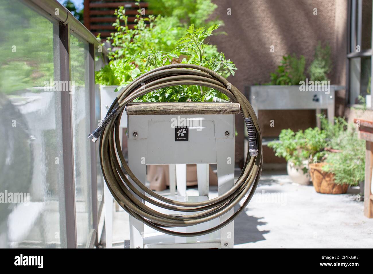 Ein Trinkwassersicherer Gartenschlauch sitzt auf einem erhöhten Pflanzgefäß aus 100 % bleifreiem, lebensmitteltaugliches Polyurethan. Gartenschläuche können Blei und andere enthalten Stockfoto
