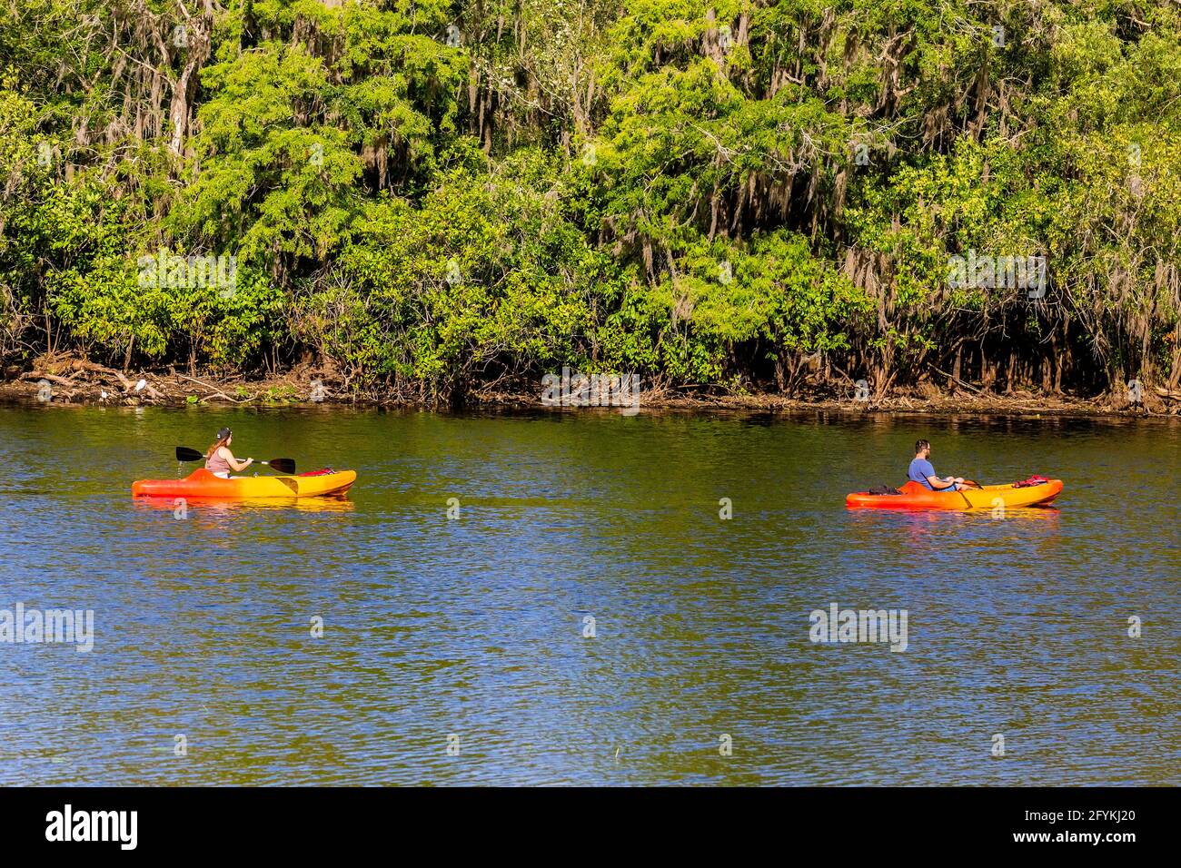 Paar Kajakfahrten auf dem Hillsborough River in der Nähe von Salatce Lake County Park, Tampa, FL. Stockfoto