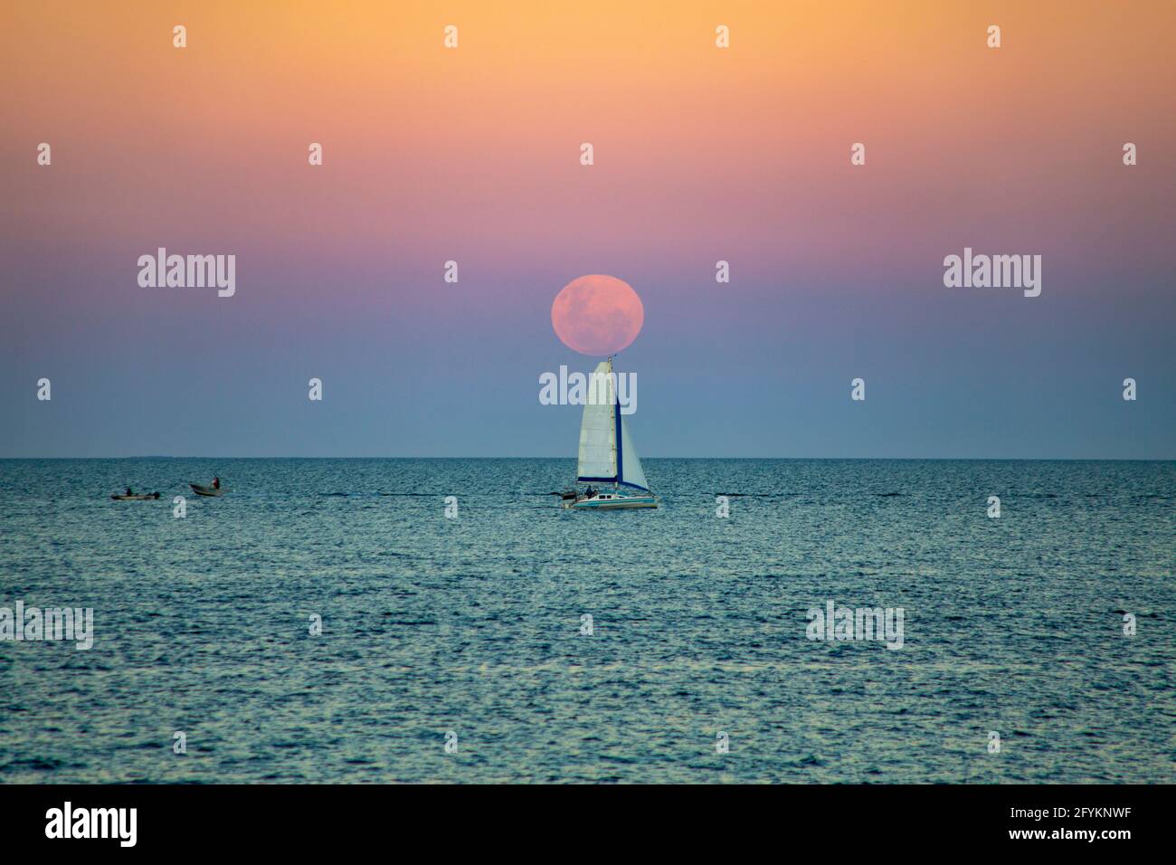 Am 26. Mai 2021, kurz vor Sonnenuntergang, färbte sich der Vollmond 15 Minuten lang rötlich. Der „Super Blood Moon“ schien etwa 7 % größer zu sein Stockfoto