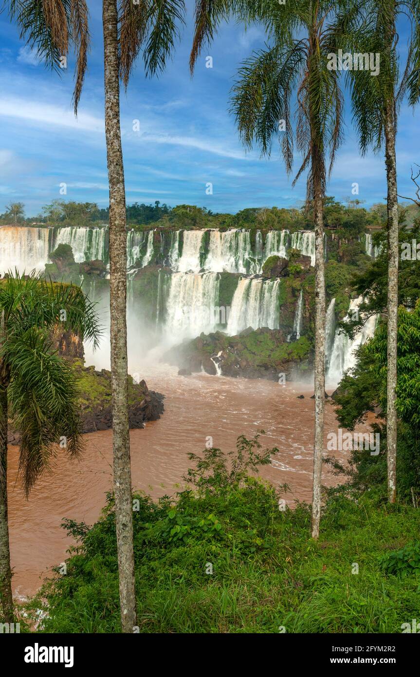 Iguaçu-Wasserfälle, Argentinien Stockfoto