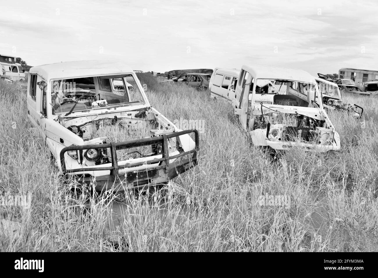 TOYOTA LANDCRUISER Stockfoto