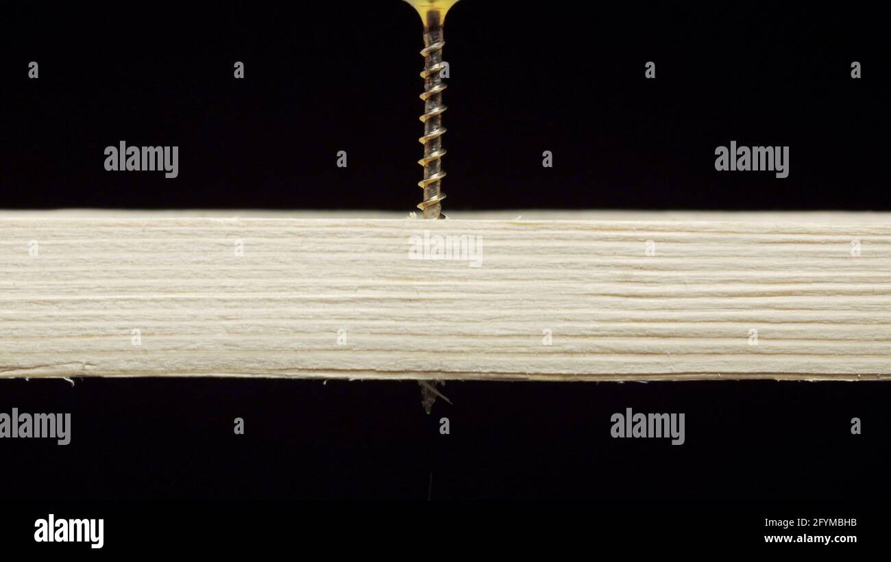 Foto eines Schraubendrehers, der die Gewindestift durch ein Holzbrett bohrt Stockfoto