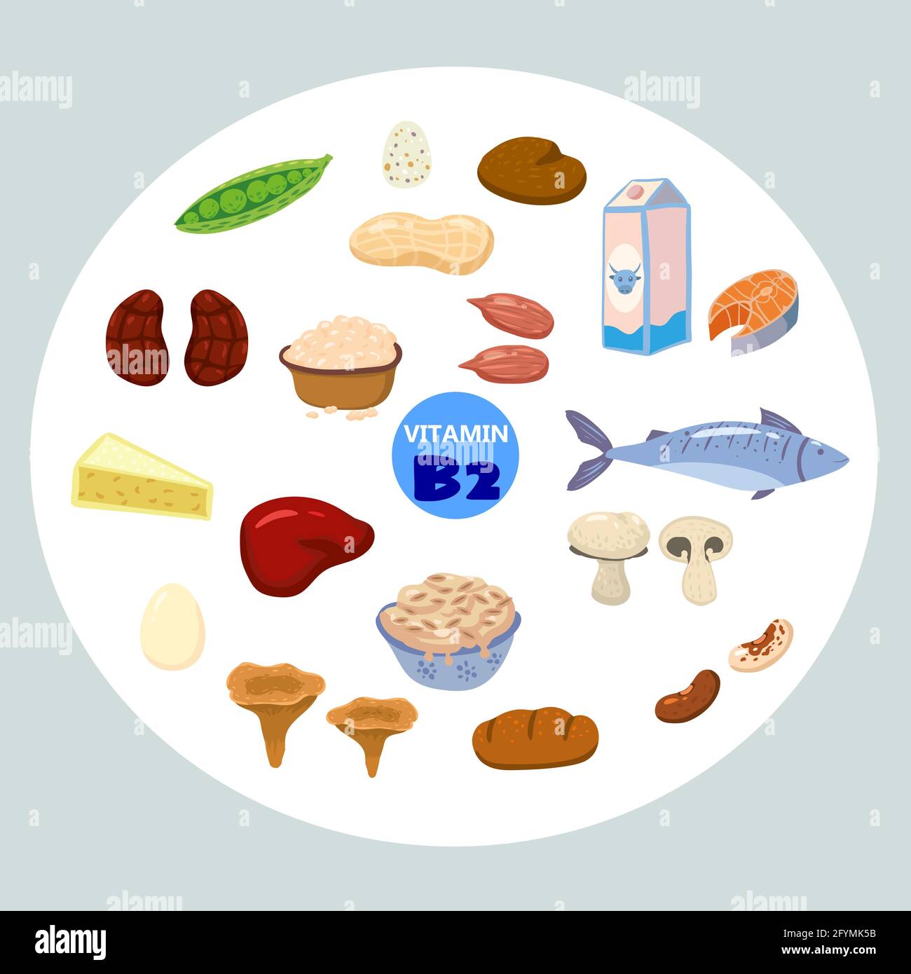 Set von Vitamin B2 Herkunft natürlichen Quellen. Gesundes Tagebuch reiches Essen mit Riboflavin, Käse, Pilzen, Nüssen, Fisch. Bio-Diät-Produkte, natürlich Stock Vektor