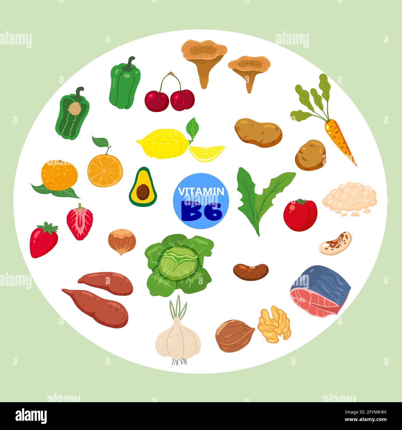 Set von Vitamin B6 Herkunft natürlichen Quellen. Gesunde Nahrung Fleisch, Gemüse, Eier, Nüsse, Fisch, Rote Bete. Bio-Diät-Produkte, natürliche Ernährung Stock Vektor