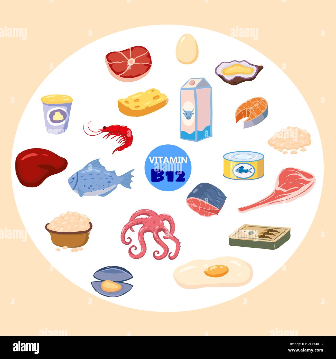 Set von Vitamin B12 Herkunft natürlichen Quellen. Gesundes Tagebuch mit Meeresfrüchten, Hüttenkäse, Fleisch, Fisch. Bio-Diät-Produkte, natürliche Ernährung Sammlung Stock Vektor