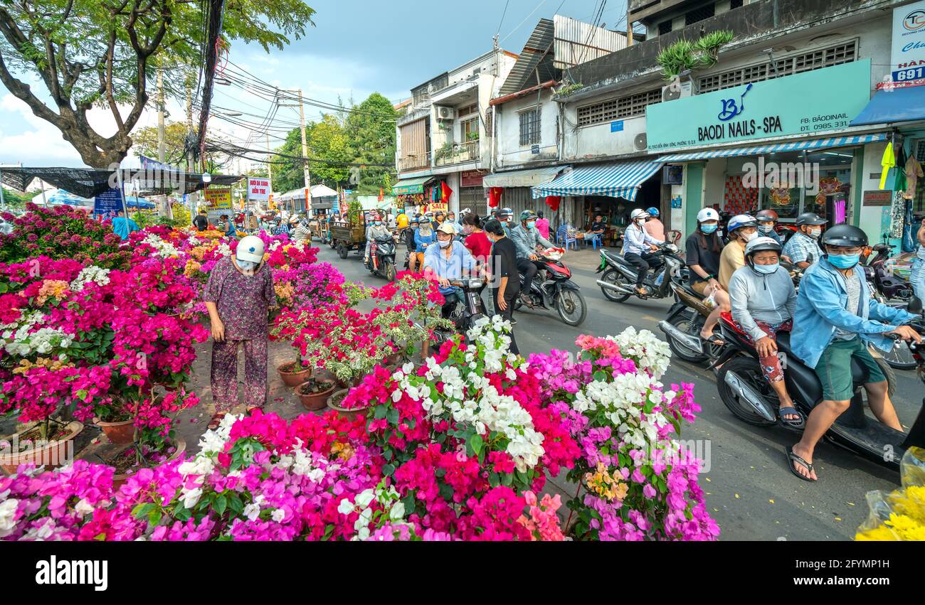 Hektik des Kaufens von Blumen auf Blumenmarkt, Einheimische kaufen Blumen für Dekorationszwecke das Haus am Mondneujahr in Ho Chi Minh City, Vietnam. Stockfoto