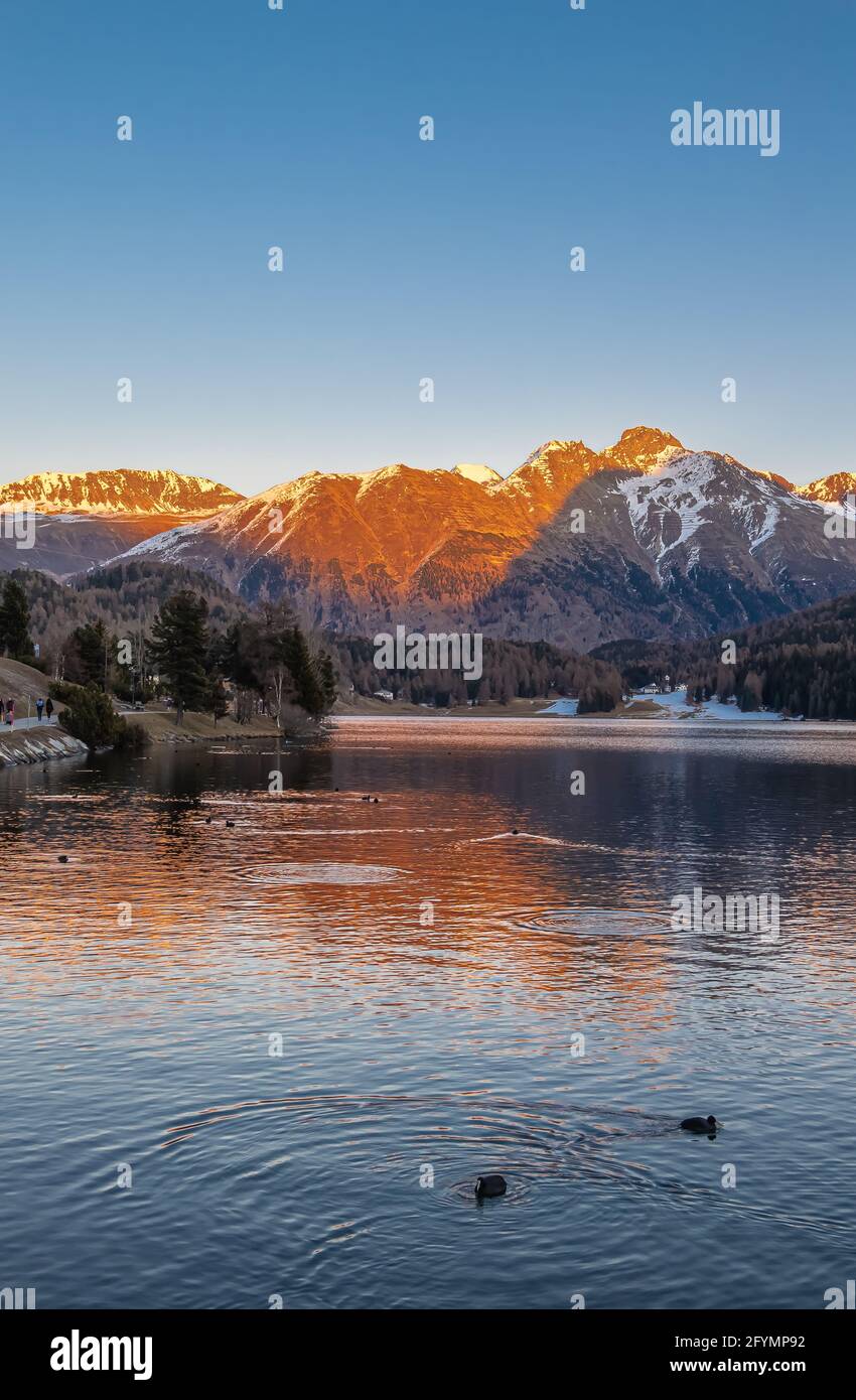 St. Moritz, Schweiz - 26. November 2020: Sonnenuntergang am schweizer St. Moritzersee im Kanton Graubünden Stockfoto