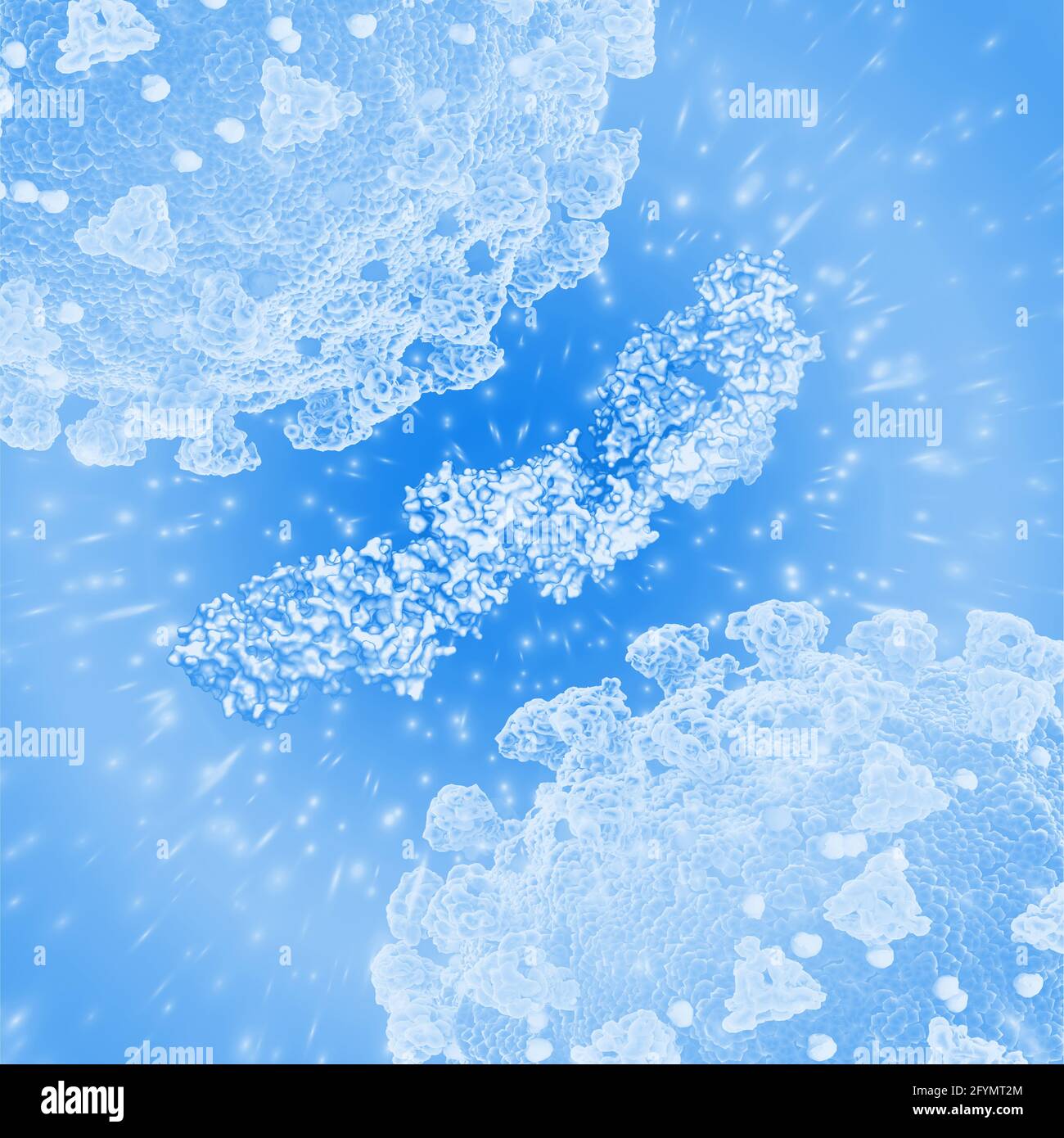 Kreuzreaktives HIV-Antikörperfragment, Illustration Stockfoto