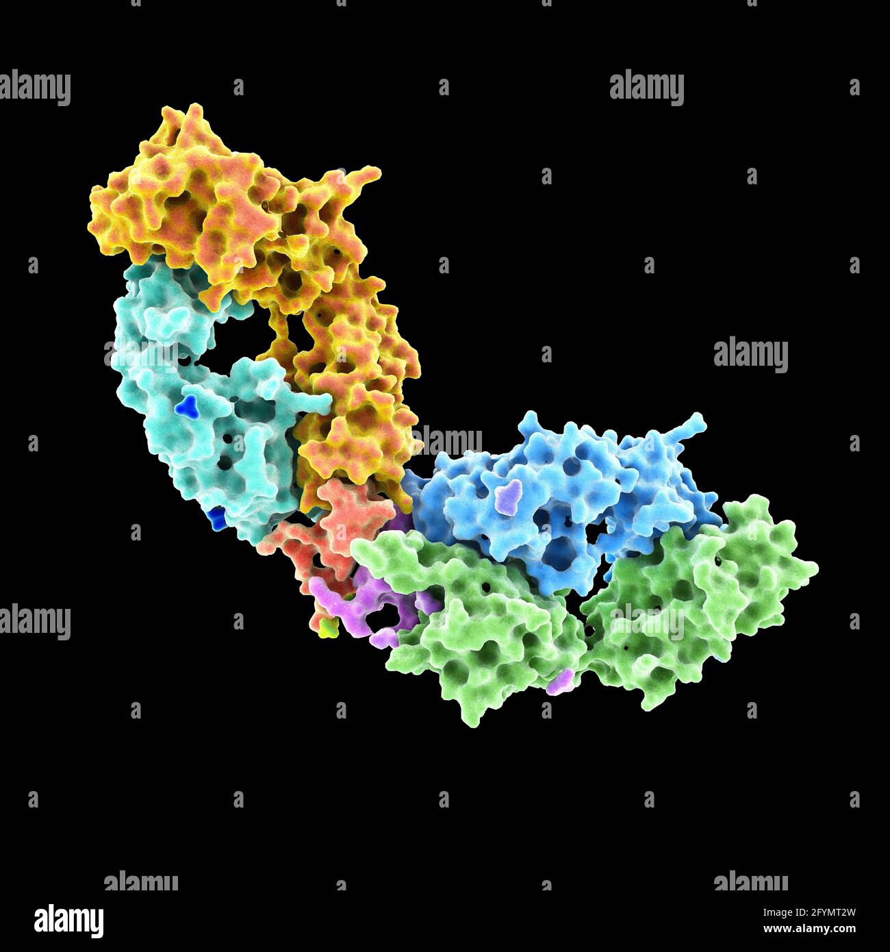 HIV-Antikörper, komplex mit Peptid, Illustration Stockfoto
