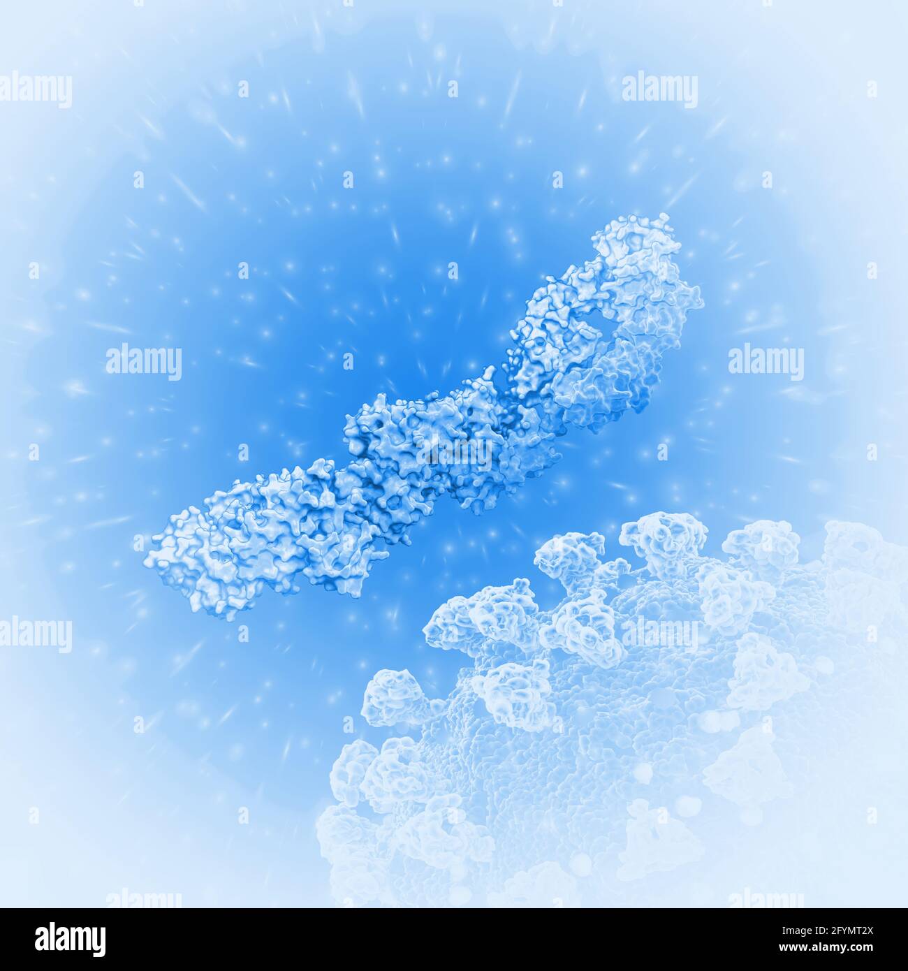 Kreuzreaktives HIV-Antikörperfragment, Illustration Stockfoto