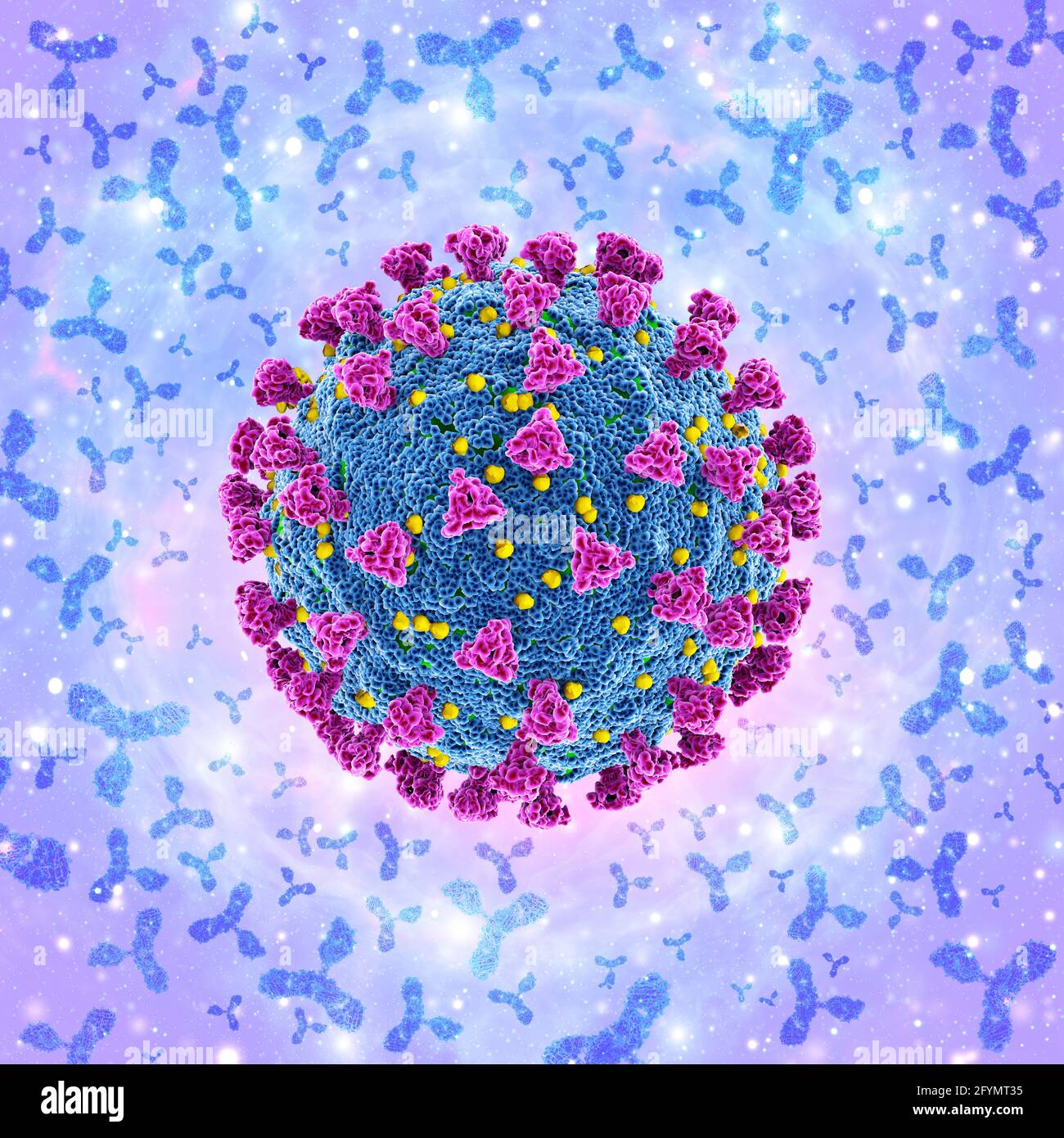 Antikörper und Covid-19 Coronavirus, Illustration Stockfoto