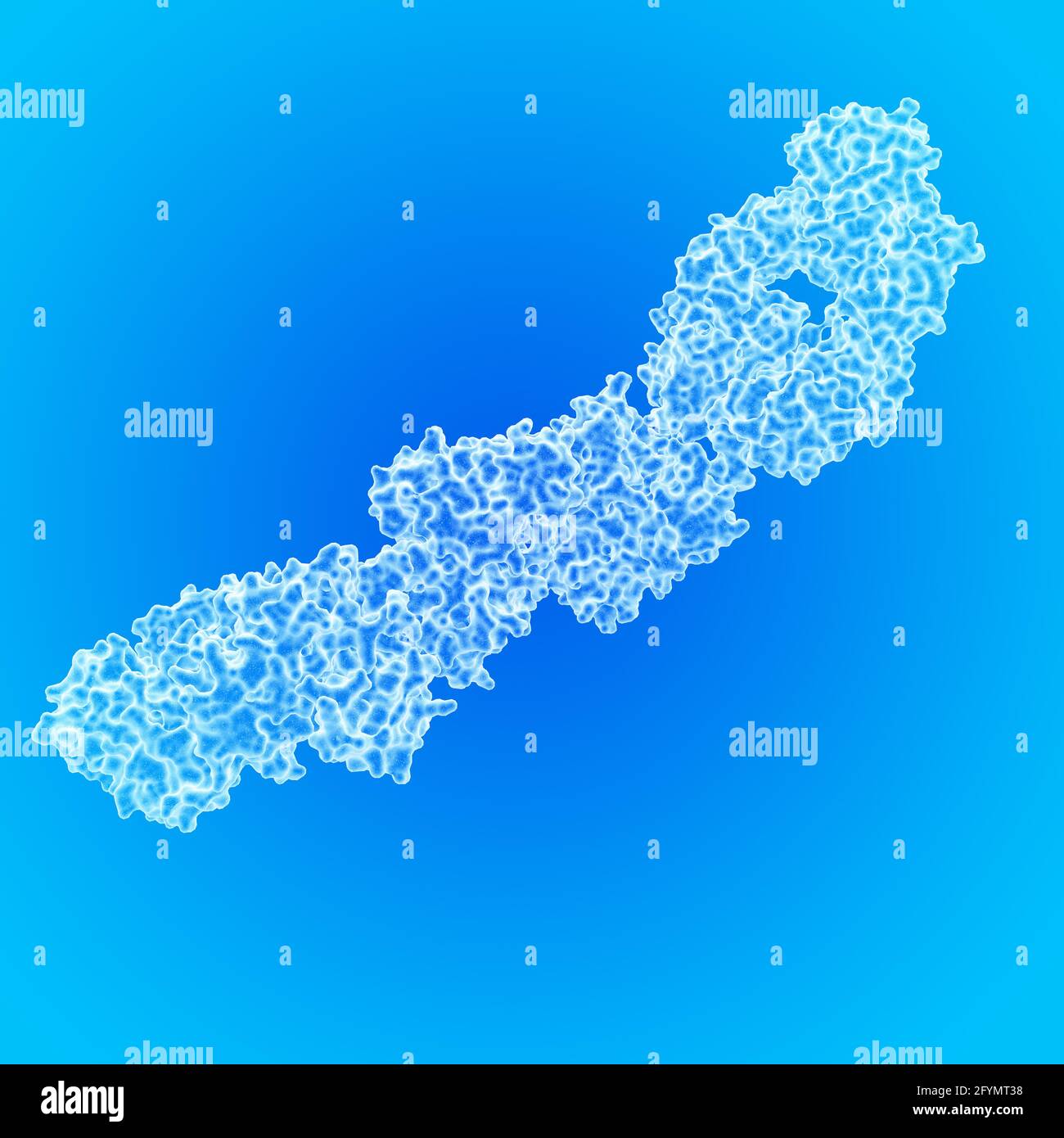 Kreuzreaktives HIV-Antikörperfragment, Illustration Stockfoto