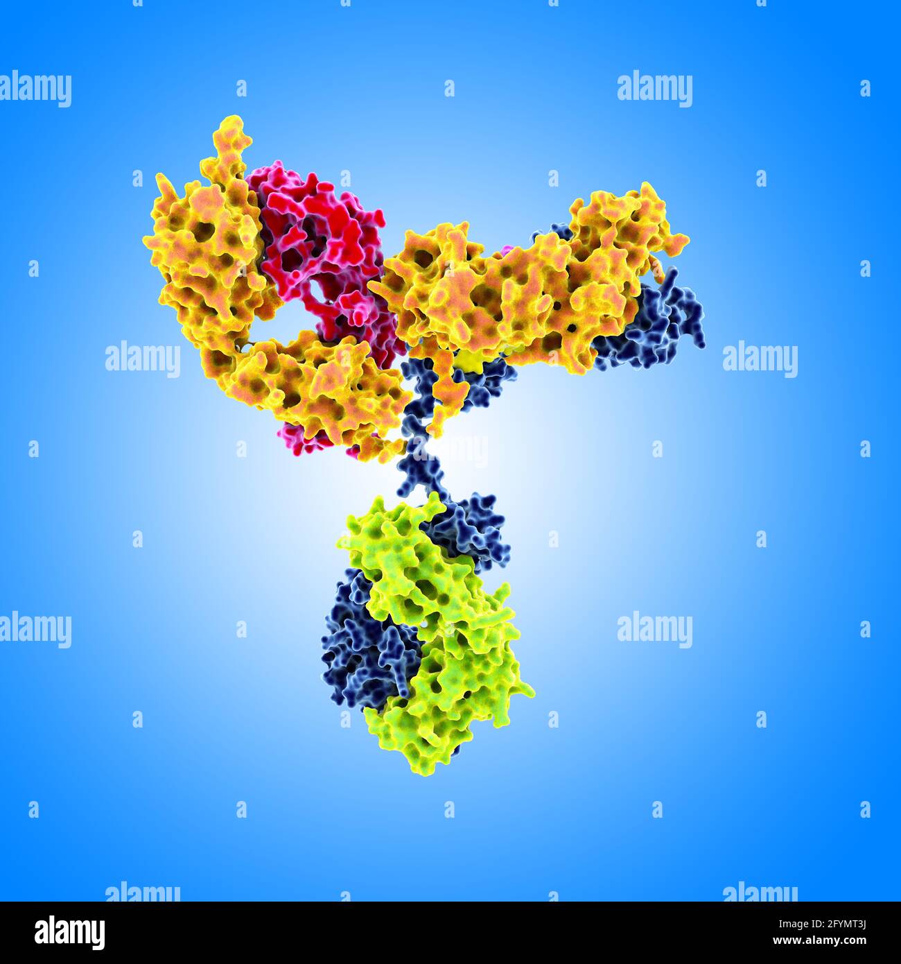 HIV-Antikörper, Illustration Stockfoto