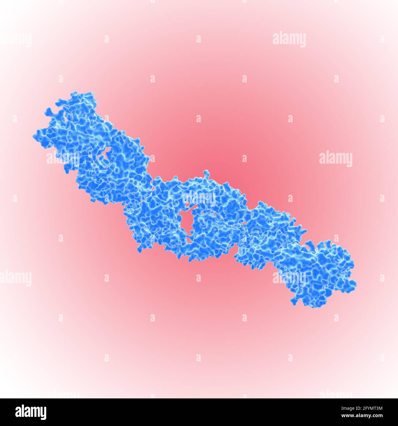 Kreuzreaktives HIV-Antikörperfragment, Illustration Stockfoto