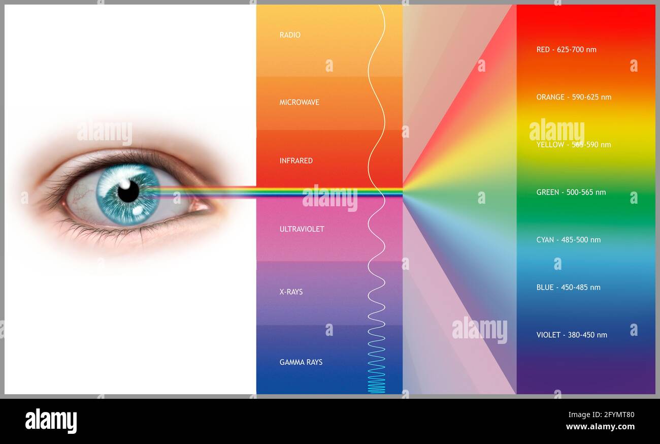 Elektromagnetisches Spektrum, Abbildung Stockfoto