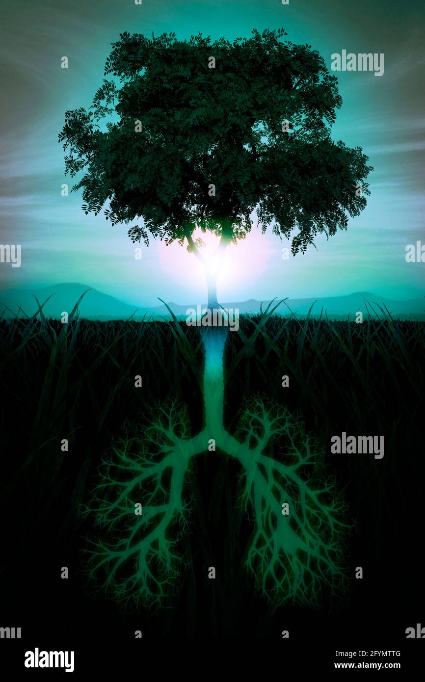 Baum des Lebens, konzeptuelle Illustration Stockfoto