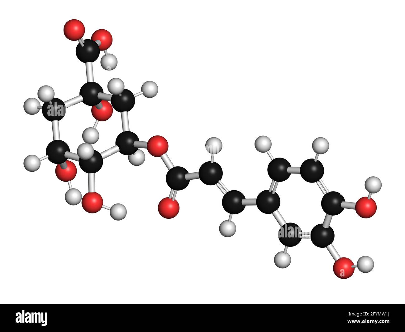 Chlorogensäure-Kräutermolekül, Illustration Stockfoto