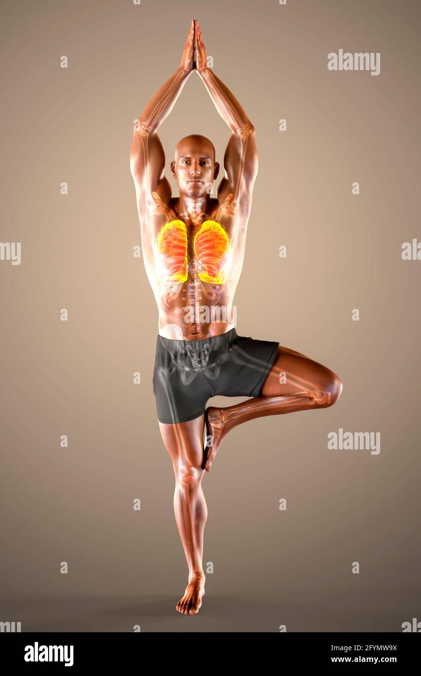 Atemregulation und Atmung im Yoga, Illustration Stockfoto