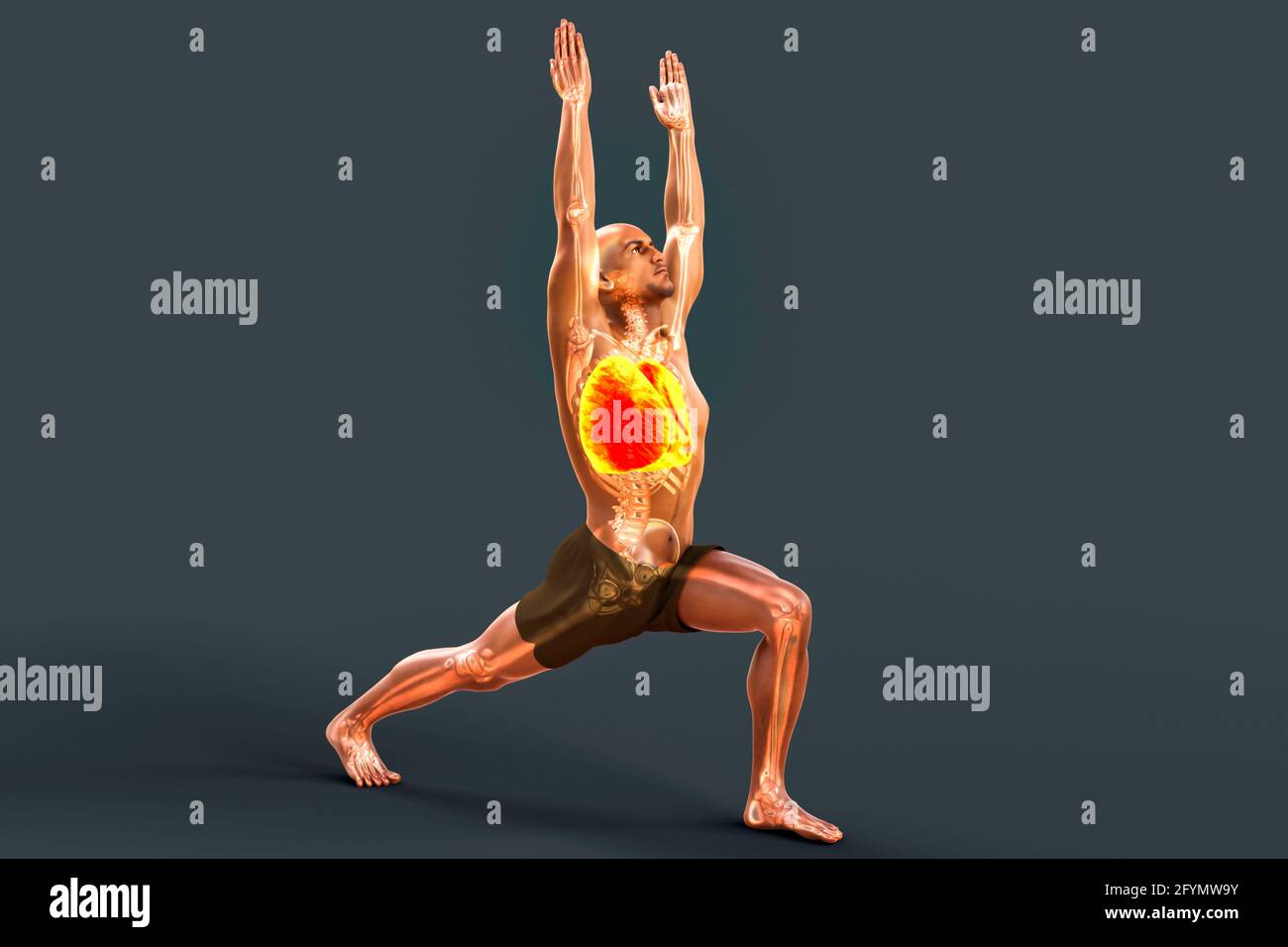 Atemregulation und Atmung im Yoga, Illustration Stockfoto