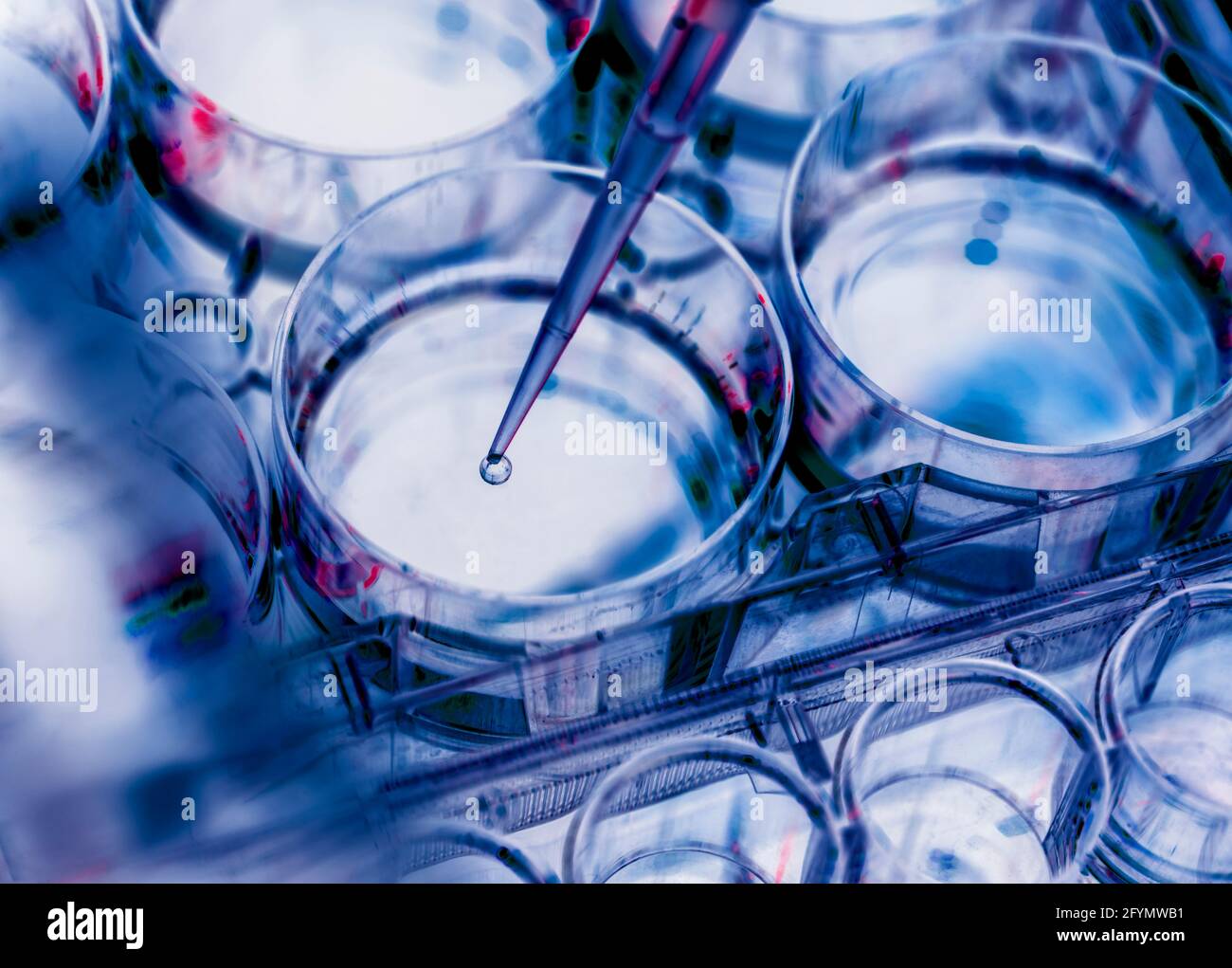 Biotechnologieforschung Stockfoto