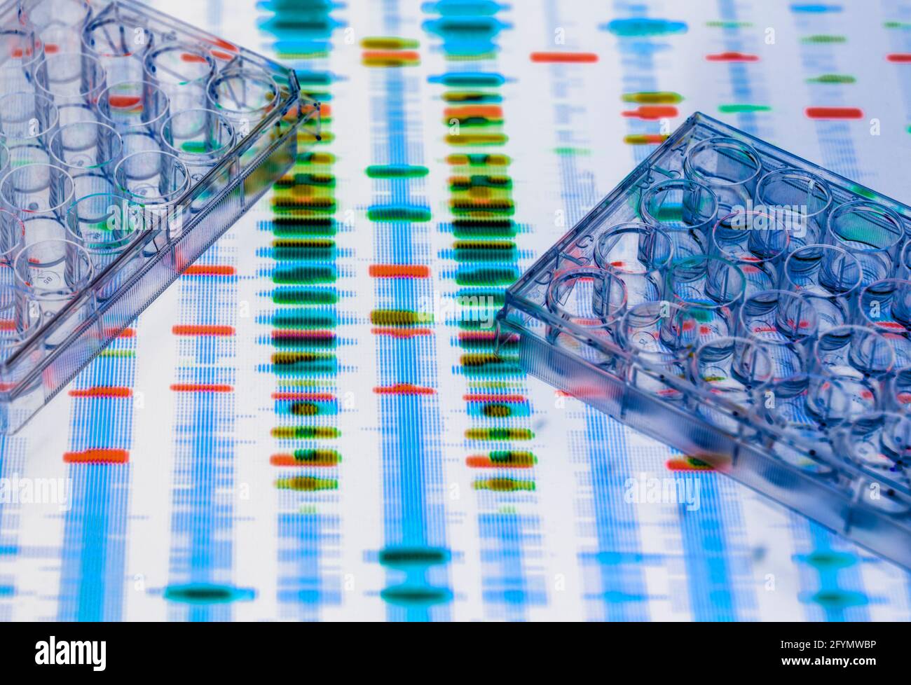 DNA-Forschung Stockfoto