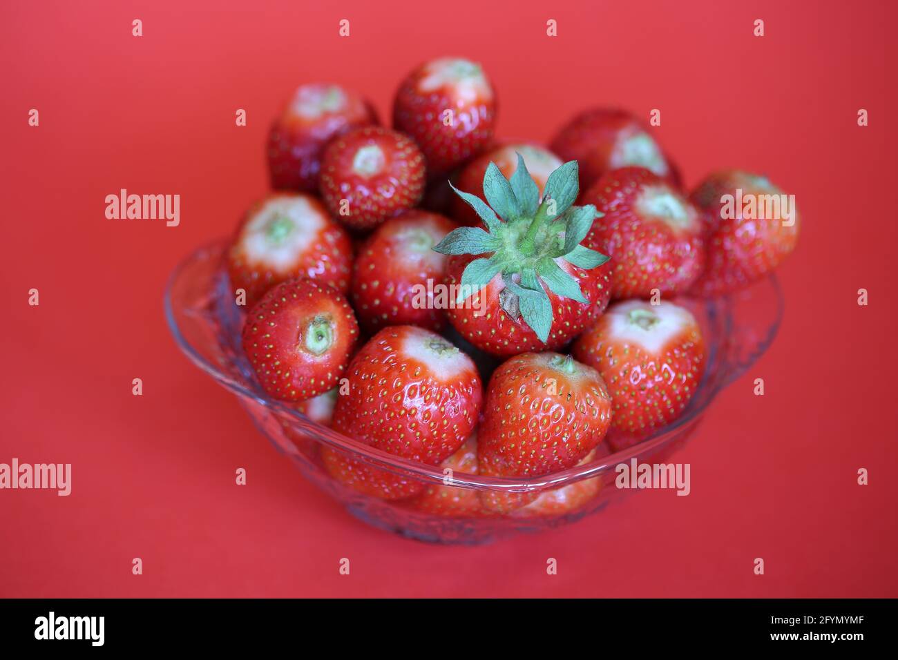 Frische Erdbeeren in Glasschüssel auf rotem Hintergrund Nahaufnahme Stockfoto