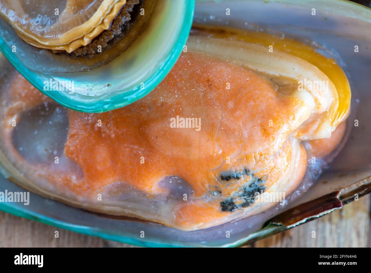 Nahaufnahme von rohen Muscheln über Holzschneidebrett Stockfoto