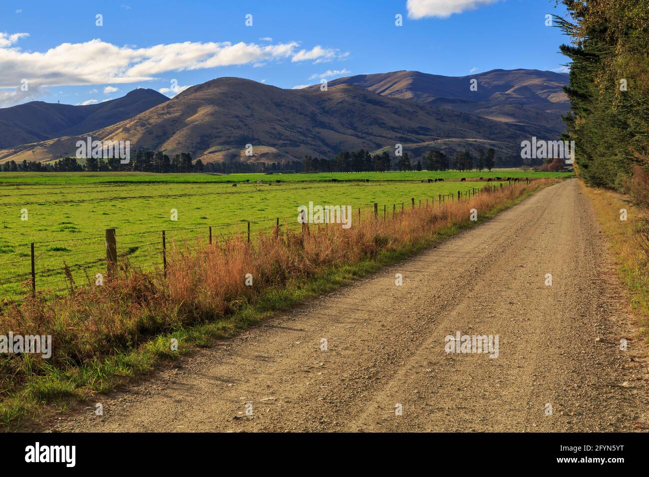 Eine Schotterstraße in Ackerland in der Region Otago, Südinsel, Neuseeland, die zu einer Reihe von Hügeln am Horizont führt Stockfoto