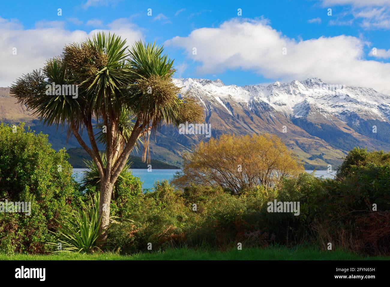 Blick auf den Lake Wakatipu und die südlichen Alpen, Neuseeland, im Herbst. Im Vordergrund ist ein einheimischer Kohlbaum, der mit Blumen bedeckt ist Stockfoto