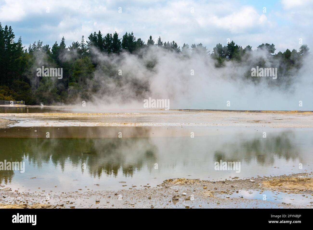 Naturwunder im Waiotapu Thermal Wonderland, Rotorua in Neuseeland Stockfoto