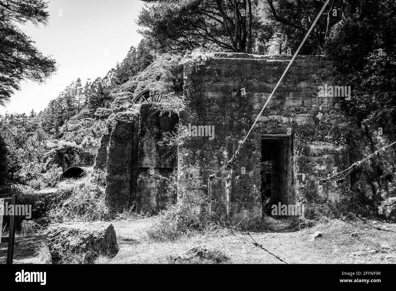 Überreste einer alten Stempelbatterie in Karangahake aus der vergangenen Goldrauschzeit, Coromandel Peninsula, Neuseeland Stockfoto