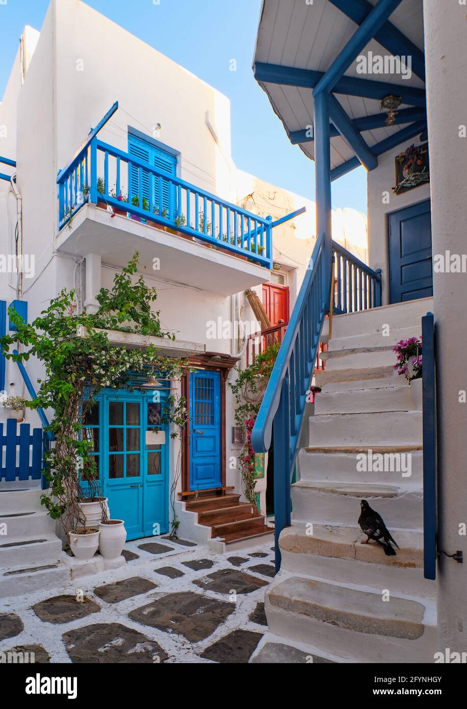 Traditionelle enge gepflasterte Straßen, wunderschöne Gassen griechischer Inselstädte. Weiße Häuser, Blumentöpfe, blaue Balkone und Türen. Mykonos, Griechenland Stockfoto