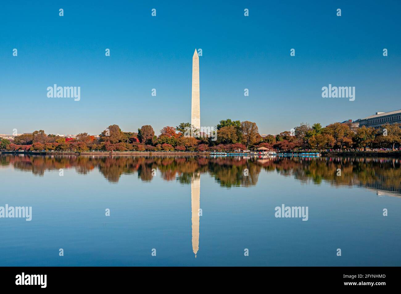 Das Washington Monument spiegelte im Tidal Basin einen hohen Obelisk wider, der zum Gedenken an George Washington in der National Mall in Washington, D.C. erbaut wurde Stockfoto