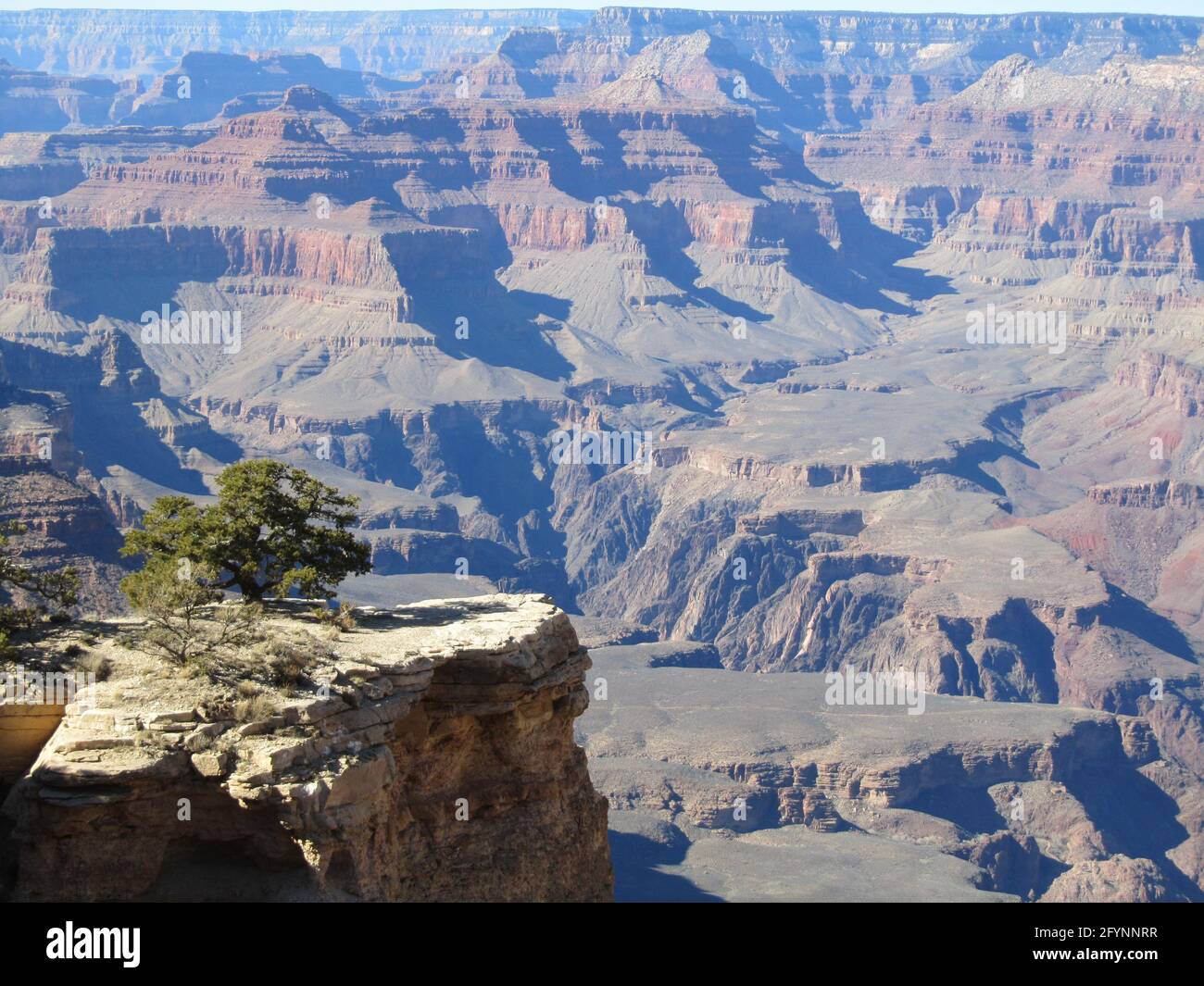 Der wundervolle Grand Canyon, arizonas Kronjuwel. Stockfoto