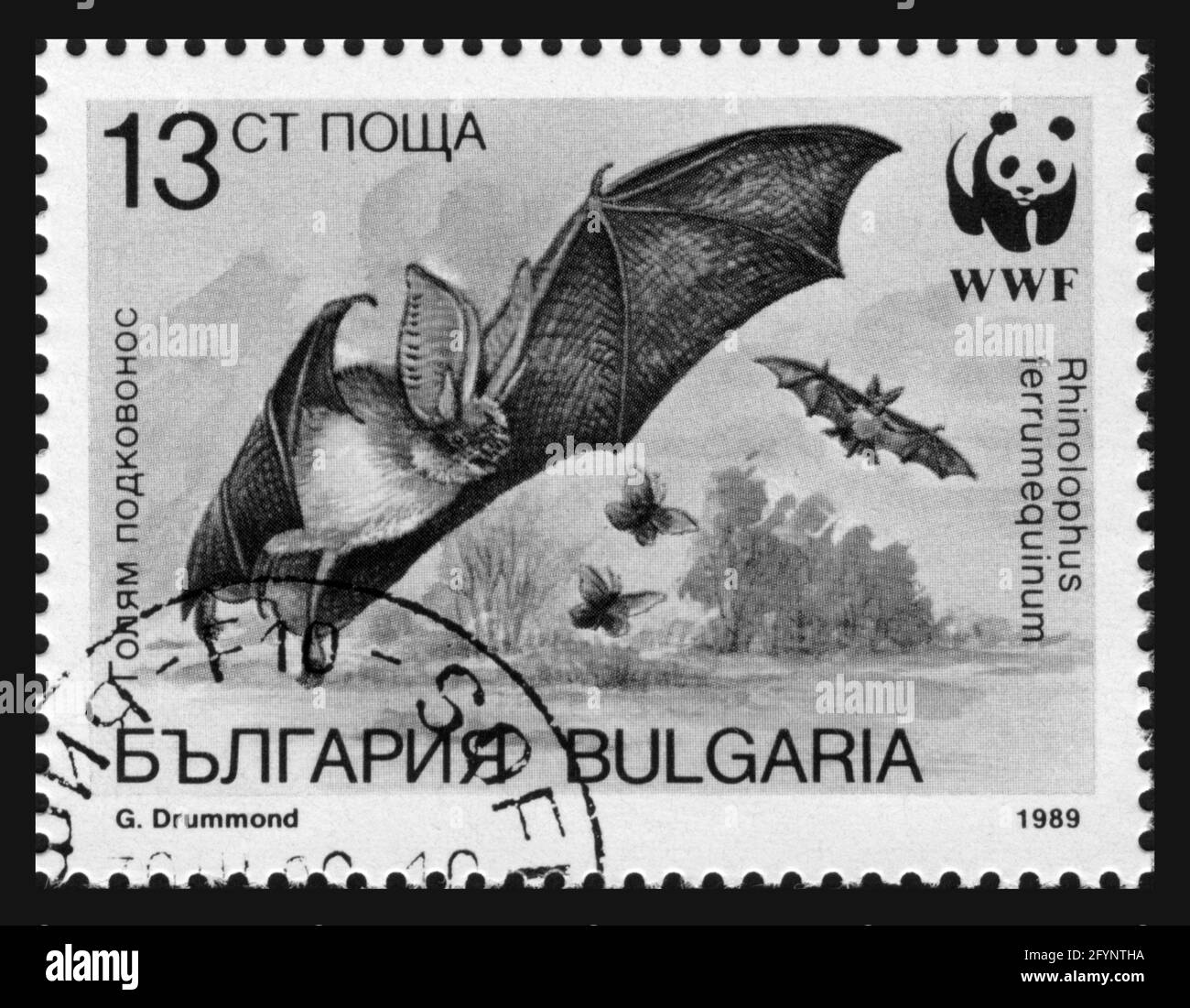 Briefmarkendruck in Bulgarien, 1989, Fledermäuse Stockfoto