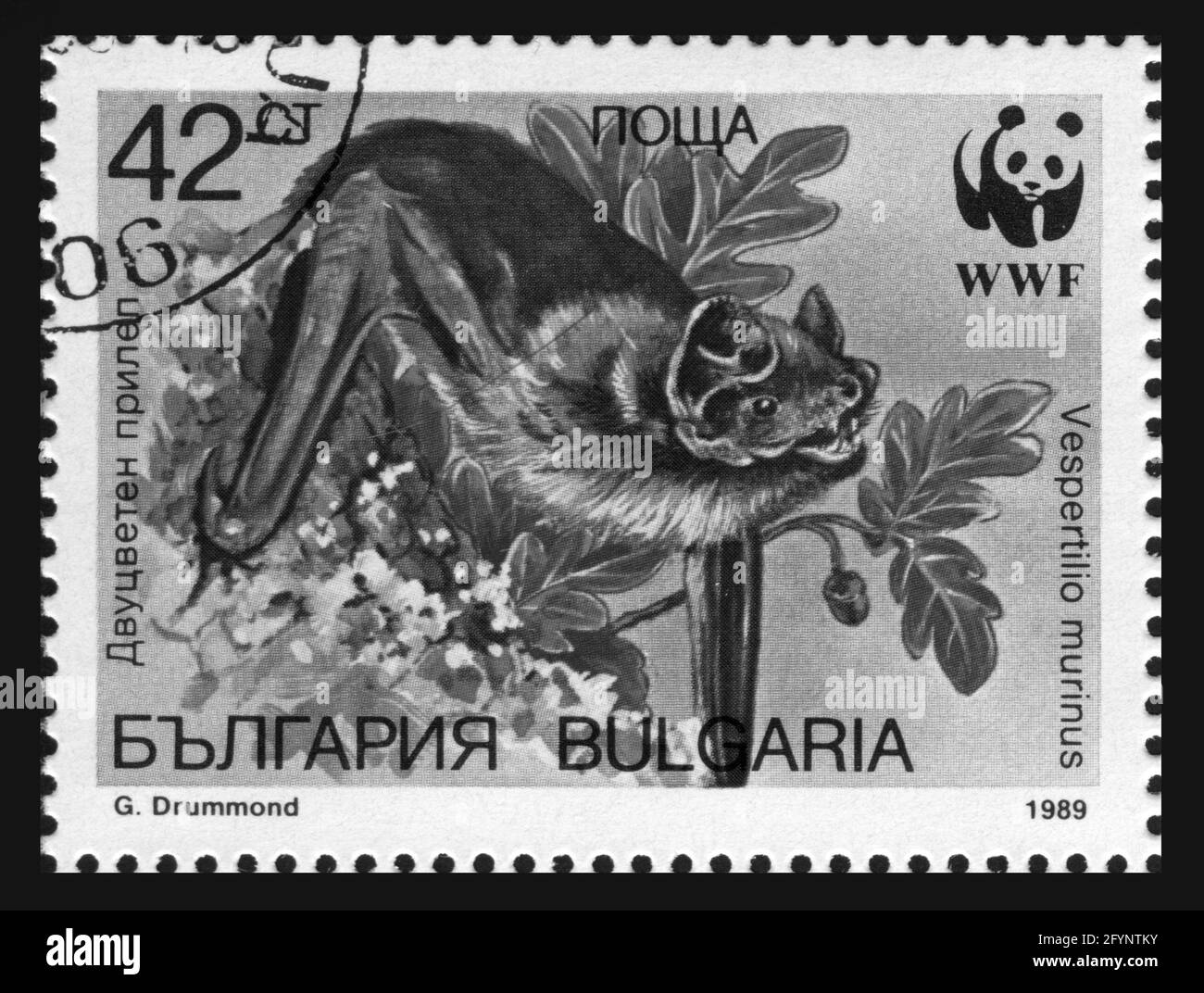 Briefmarkendruck in Bulgarien, 1989, Fledermäuse Stockfoto