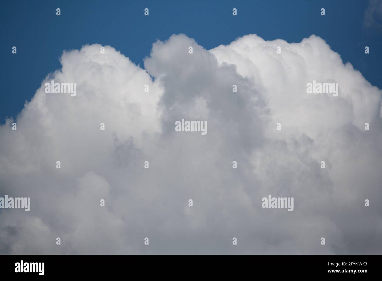 Sommerwolken Stockfoto