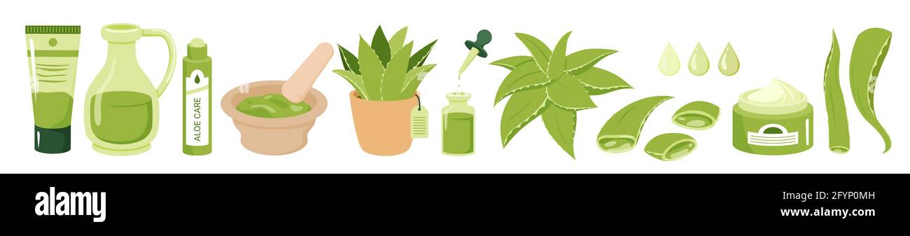 Cartoon Saft grüne Sukulente Pflanze, Bio-Gel Tropfen aus Aloe-Blättern, natürliche Creme, Serum und Öl-Produkte Verpackung. Aloe Vera kosmetische Schönheit Stock Vektor