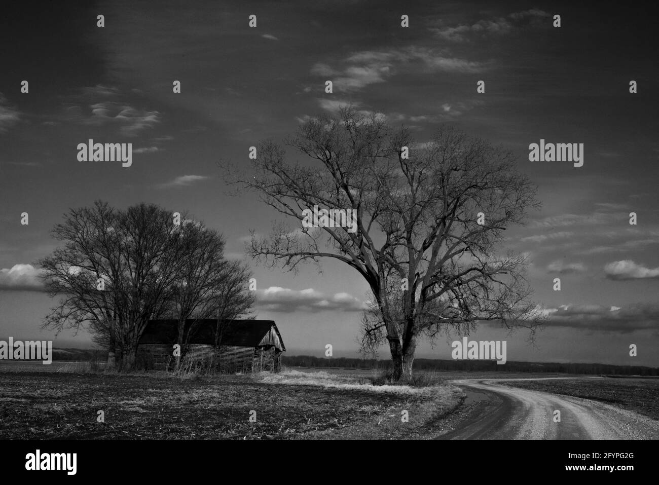 Eine unbefestigte Straße schlängelt sich an einer alternden Scheune in der Hochwasserebene des Mississippi River, direkt am Highway 79 zwischen Annada und Clarksville, Missouri, USA. Stockfoto