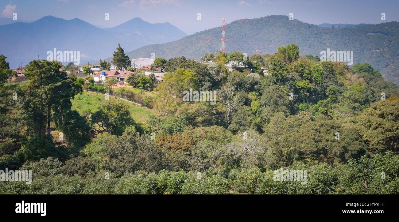 Blick auf die Bäume und Felder von Magdalena Milpas Altas, zwischen den Bergen außerhalb von Antigua, Guatemala Stockfoto
