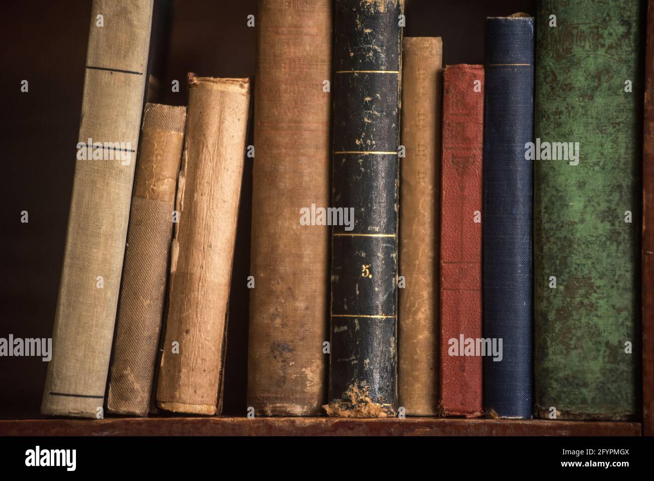 Eine Gruppe antiker Bücher sind in einem Stillleben über einem Bücherregal aufgereiht. Stockfoto