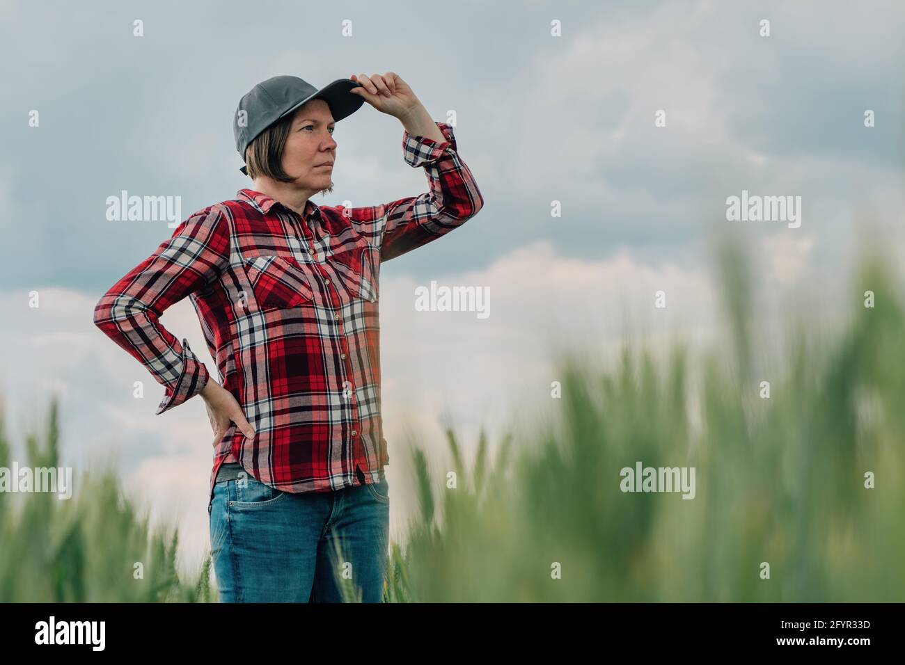 Verantwortungsvolle Weizenbauern Agrarwissenschaftlerin, die ihr kultiviertes Getreideanbau-Agrarfeld ansieht, weibliche Farmarbeiterin posiert auf Ackerland Stockfoto