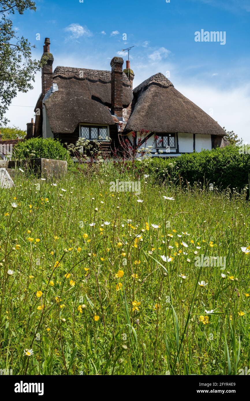 Strohgedeckte Hütte und Wildblumen in West Meon, einem hübschen Dorf in Hampshire, England, Großbritannien Stockfoto