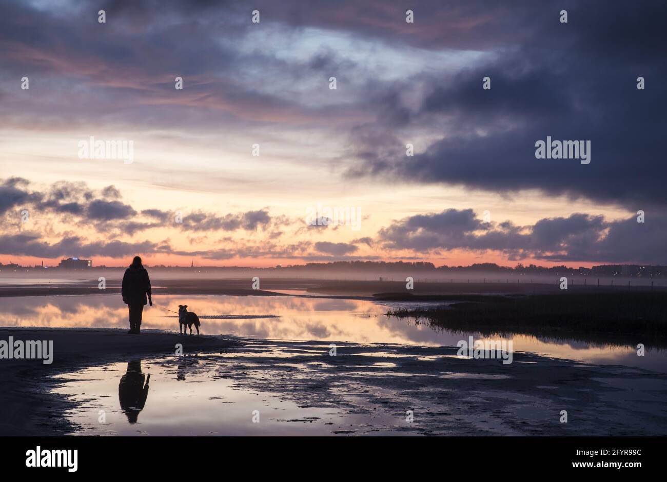 Silhouette eines Mannes und eines Hundes am See bei Sonnenuntergang mit einem bewölkten, rosa Himmel, Estland Stockfoto