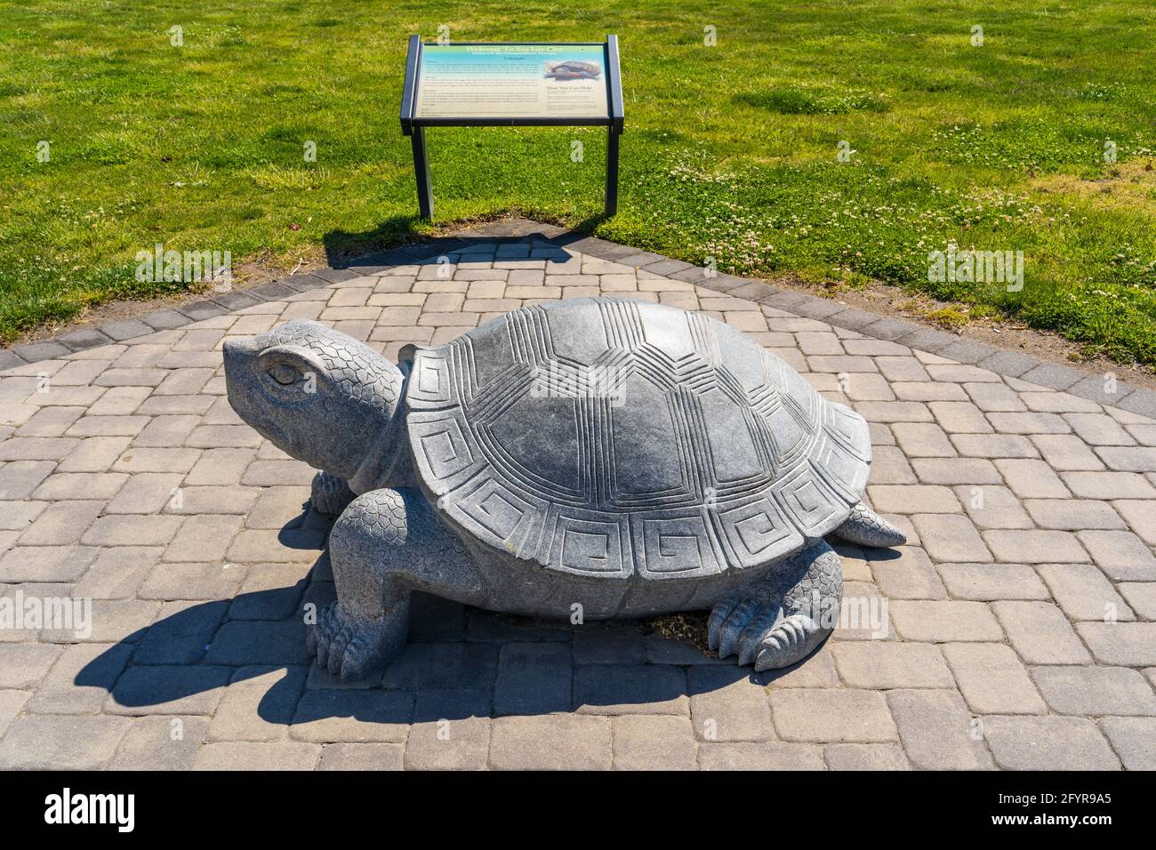 Sea Isle City, NJ - 13. Mai 2021: Große, aus Stein gemeißelte, diamondradare Wasserschildkröte mit einem Schild der Umweltkommission von Sea Isle City, die über den Turt berichtet Stockfoto