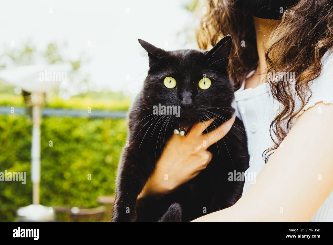 Frau, die schwarze Katze mit grünen Augen hält Stockfoto