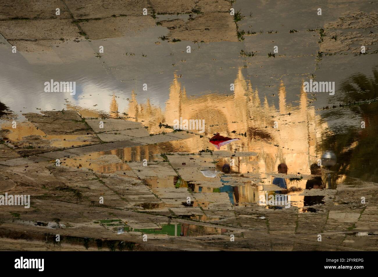 La cattedrale di Palma de Mallorca riflessa in una pozzanghera Stockfoto