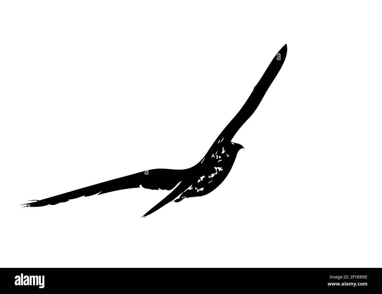 Fliegende Falke schwarze Silhouette auf Weiß Stock Vektor