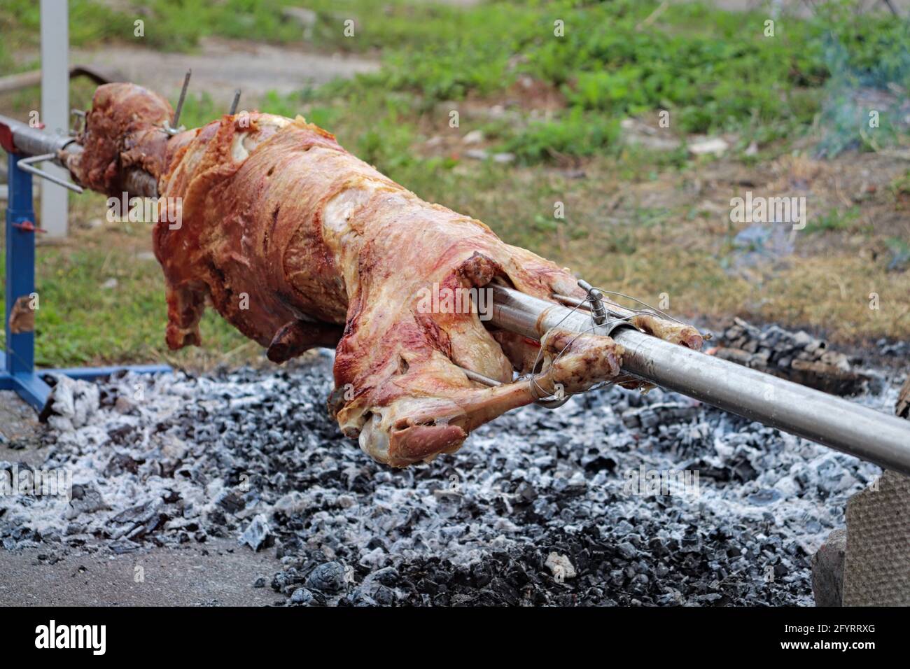 Eine Nahaufnahme eines ganzen Spanferkel, das kurz vor dem Schwein steht Im Freien auf einem Spieß geröstet Stockfoto