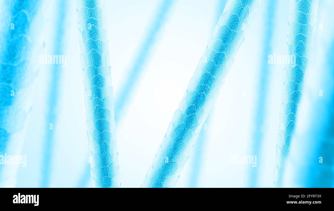 Menschliches Haar unter dem Mikroskop. Nahaufnahme. Schwarz und Weiß. 3D-Illustration. Stockfoto